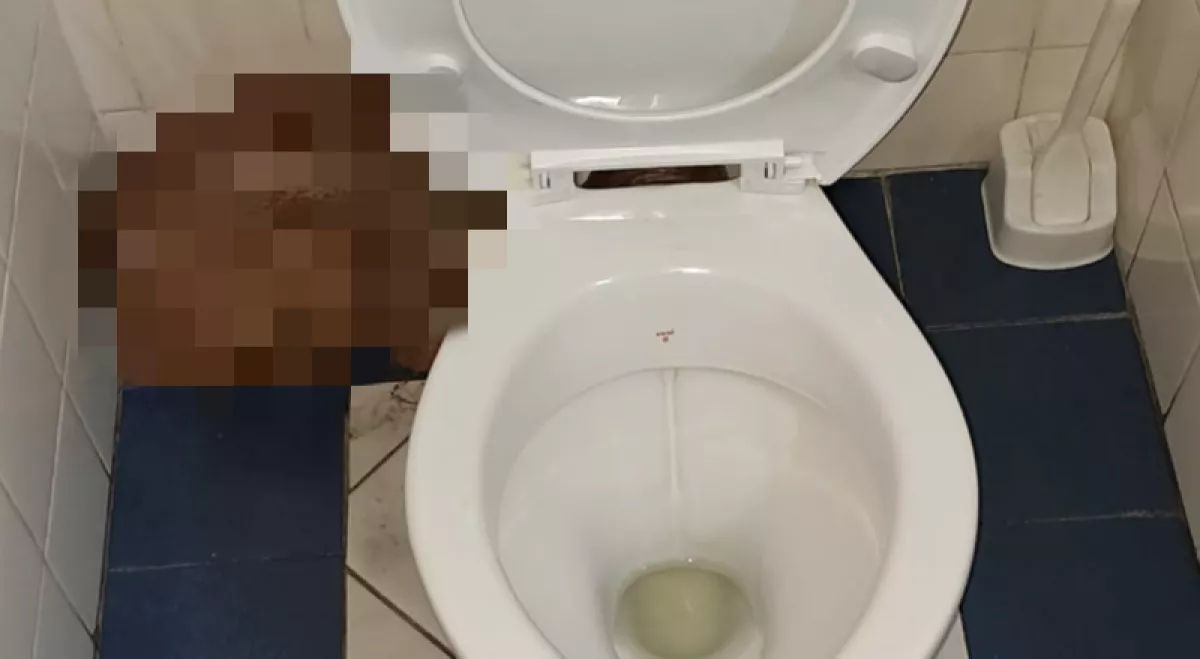 Munkahelyén ment WC-re az építőmunkás, egy karajállal találta magát szemben - Fotók