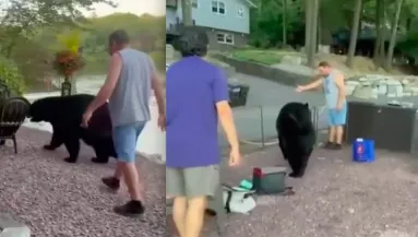 Ki akarta dobni a fekete medvét a kerti partyról a férfi: véres vége lett - Videó