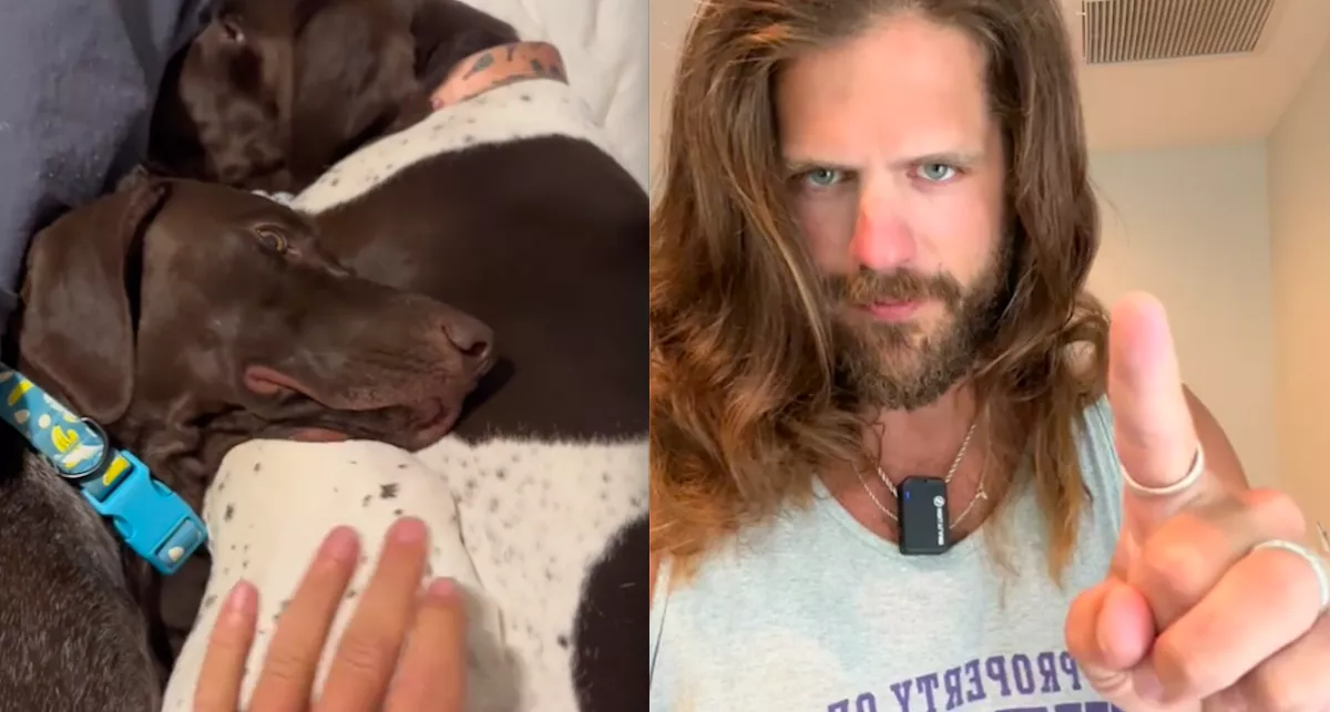 Megpróbálta 5:20-kor felkelteni a kutyáit a gazdi: amit tettek, azon milliók nevetnek - Videó