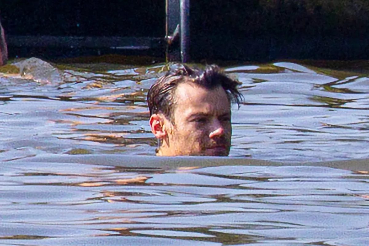 Fürdőgatyás képek készültek a tóba ugró Harry Styles-ról: hihetetlen, mennyiért árulják most a tó vizét - Fotók