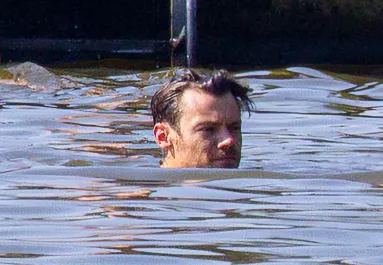 Fürdőgatyás képek készültek a tóba ugró Harry Styles-ról: hihetetlen, mennyiért árulják most a tó vizét - Fotók