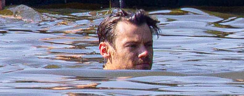 Fürdőgatyás képek készültek a tóba ugró Harry Styles-ról: hihetetlen, mennyiért árulják most a tó vizét - Fotók
