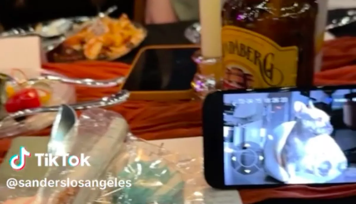 Röhögőgörcsöt kapott a nő, amikor megnézte a webkamerán, mit csinál otthon a kutyája - Videó