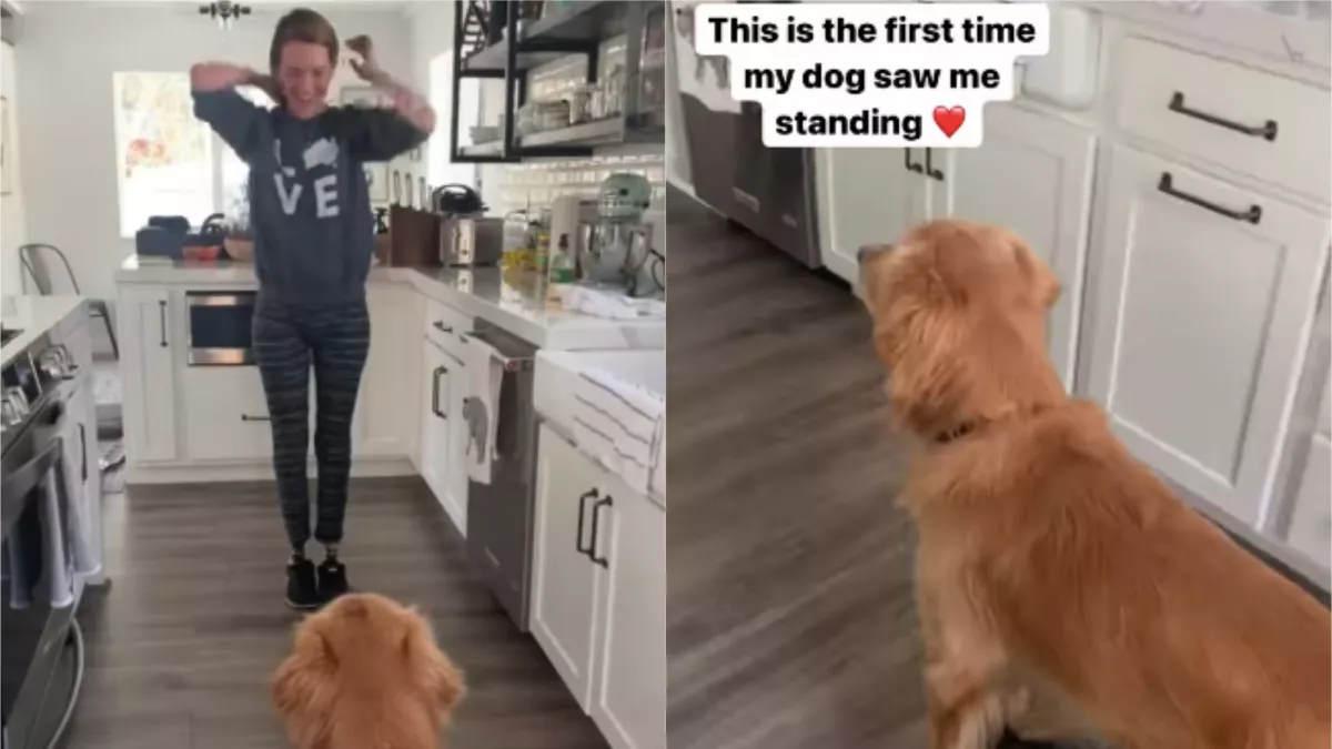 Nyolc év után állhatott lábra újra ez a nő: a kutyája reakciója szívszorító - Videó