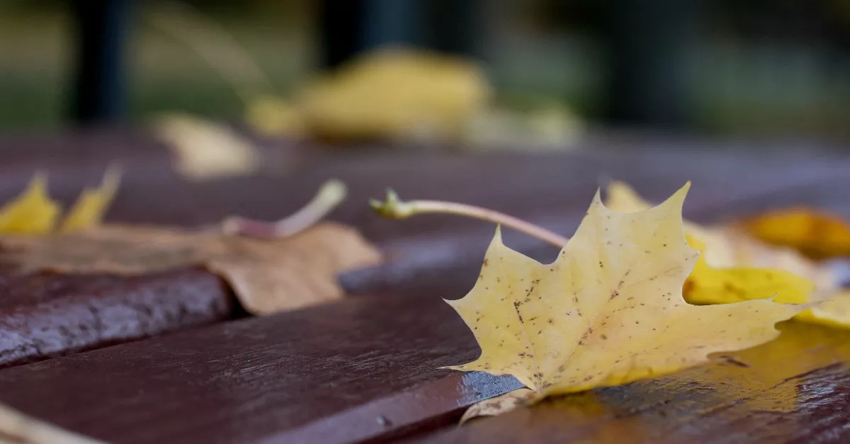 Frissítették a riasztást: szokatlan dolog miatt adták ki 6 vármegyére