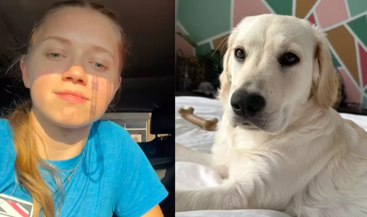 Kutyája nyüszítésére ébredt a nő éjszaka: amikor végre rátalált, mindent megértett - Videó