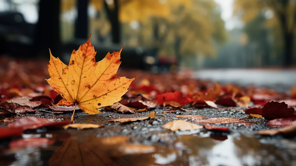 Itt a frissített előrejelzés: ilyen idő vár ránk szerdán