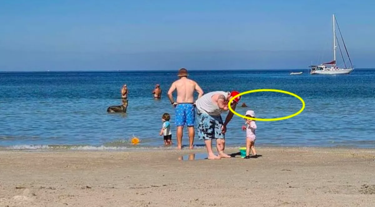 A családi nyaraláson lőtt fotót az anya: amikor otthon megnézte, azonnal elállt a lélegzete - Fotók