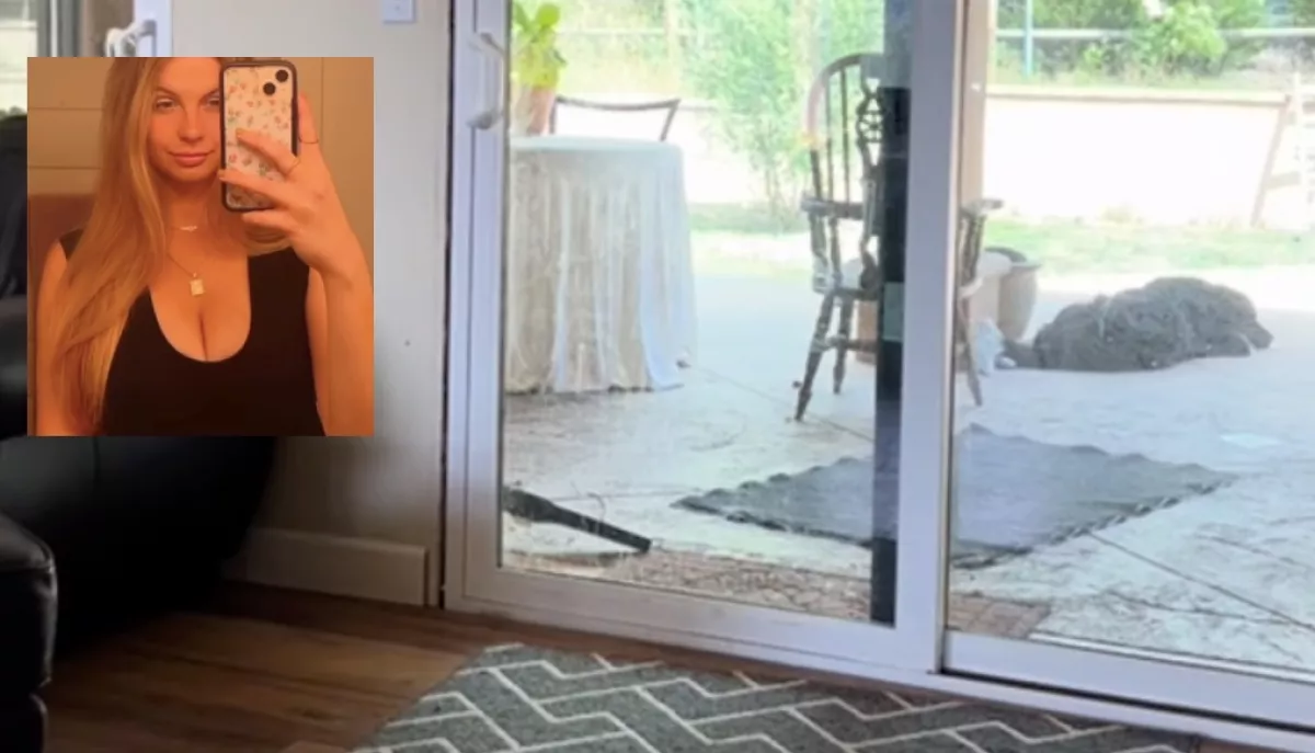 Nyitva találta a 22 éves lány a teraszajtót: amikor megnézte a kamera felvételét, nem hitt a szemének - Videó