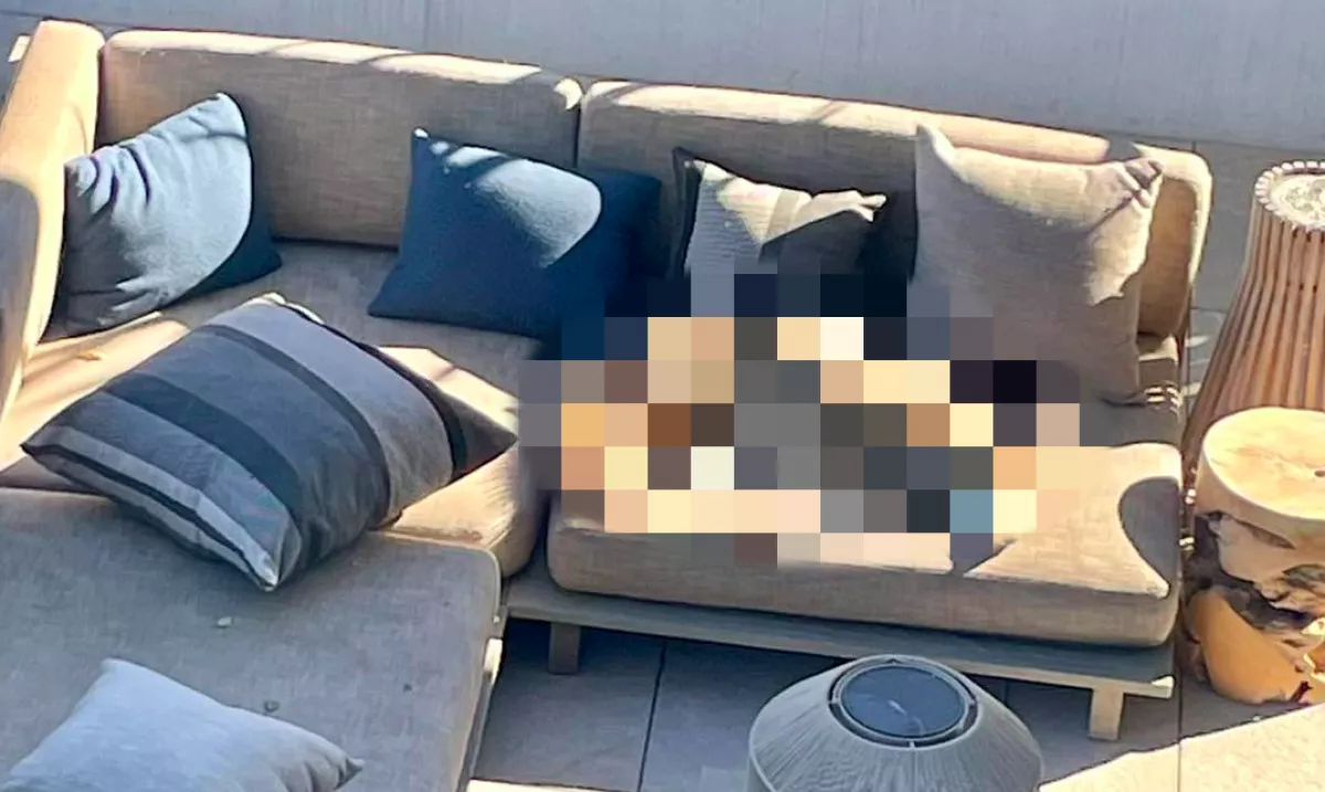 Hátborzongató, mi feküdt a család teraszán a kanapén: azonnal tárcsázták az állatvédőket - Fotók