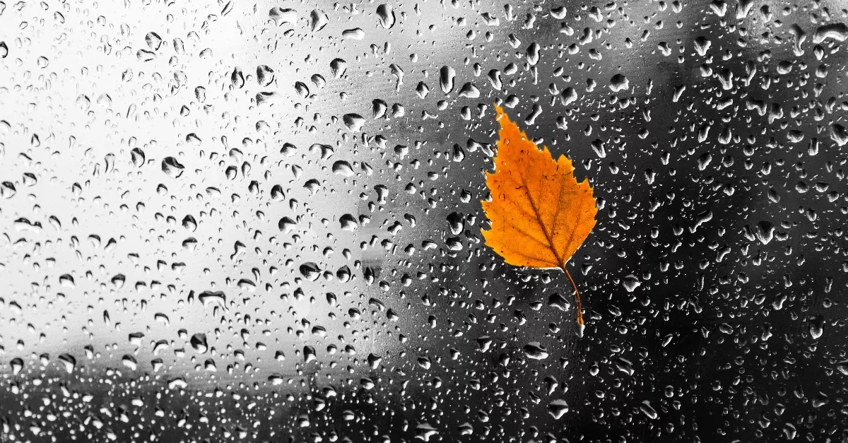 Havas eső, záporok, 80 km/h-s szél: 14 vármegyére adták ki szombatra