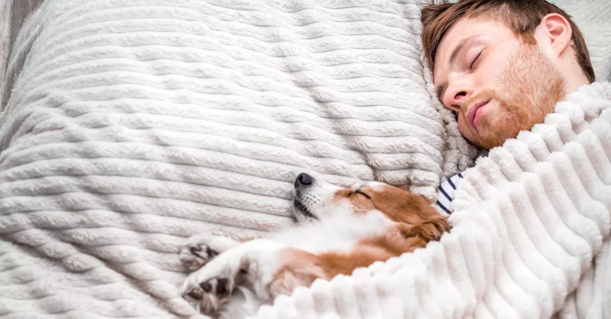 A szakértő figyelmeztet: soha ne aludj télen a kutyáddal! Soha!