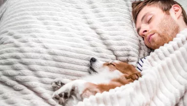 A szakértő figyelmeztet: soha ne aludj télen a kutyáddal! Soha!