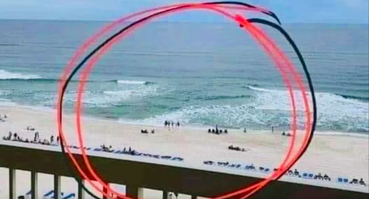 A tengerpartról nézte a vizet a nő: amikor ezt meglátta, azonnal lőtt egy képet