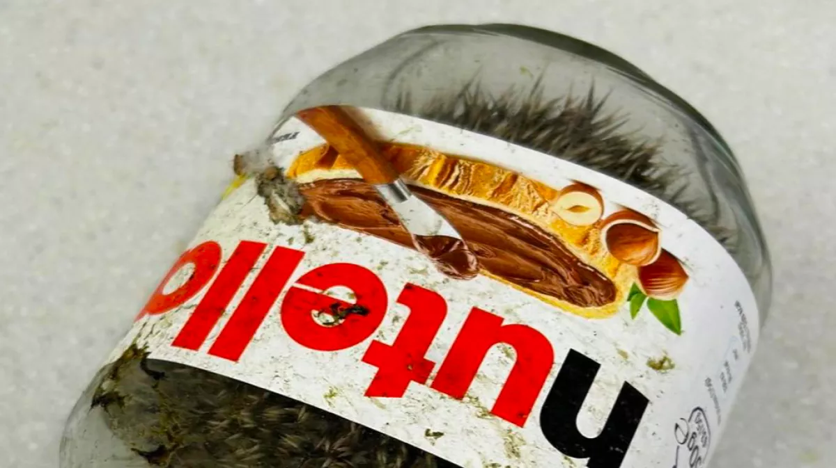 "Mi ez?" - Meglepődött a férfi, amikor benézett a Nutellás üvegbe - Fotók