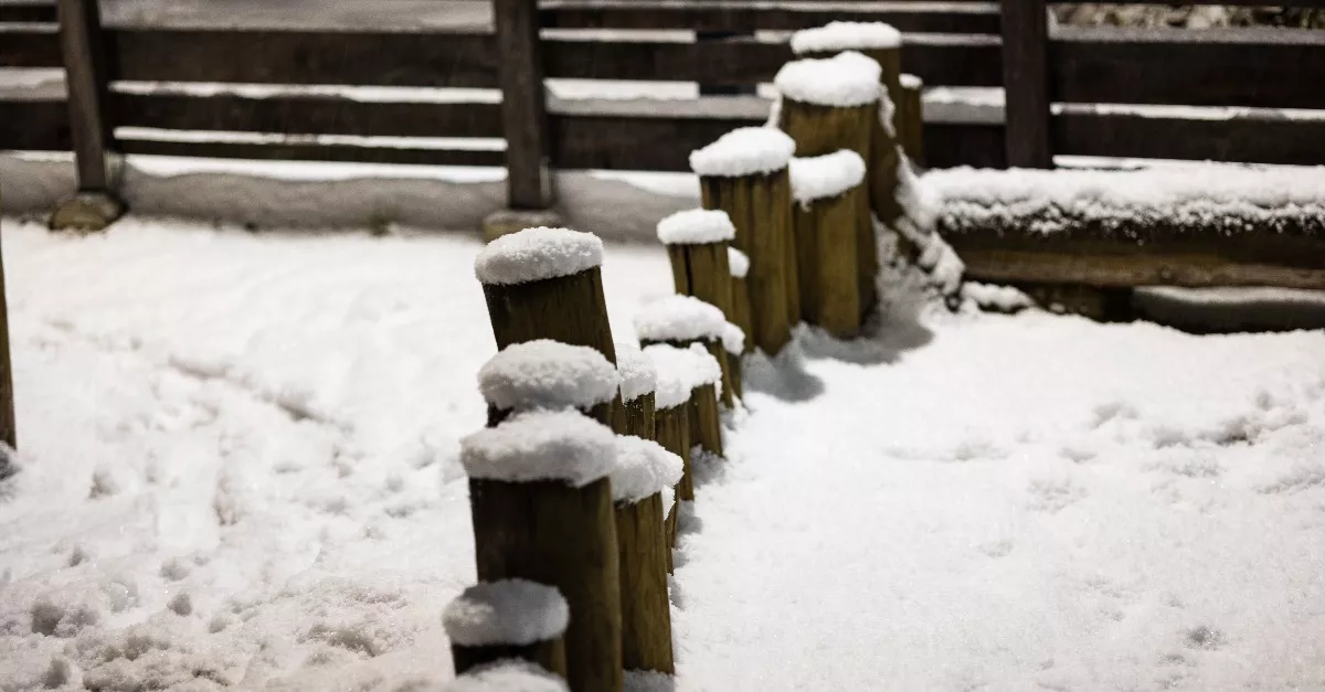 Tragédia a szupermarket mellett: egy 14 éves lány az áldozat