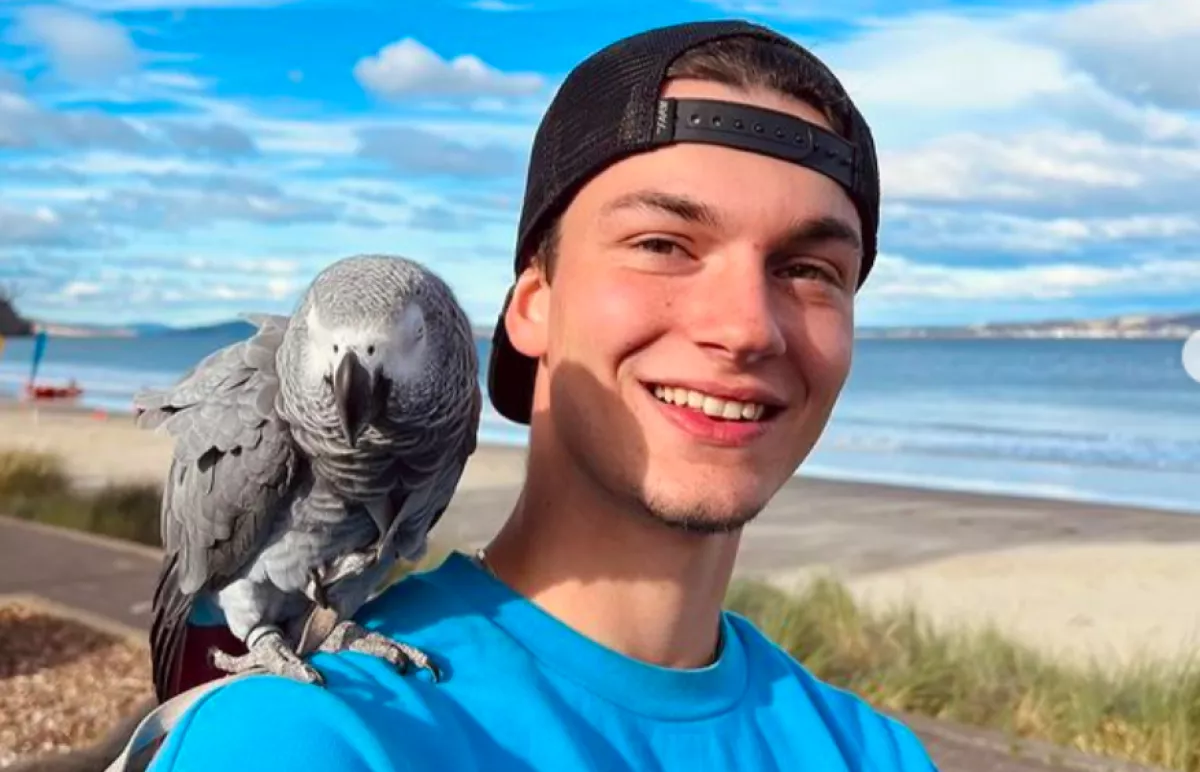 Horror: videóra vette a 20 éves srác, ahogy széttépi a lábát egy cápa (18+)