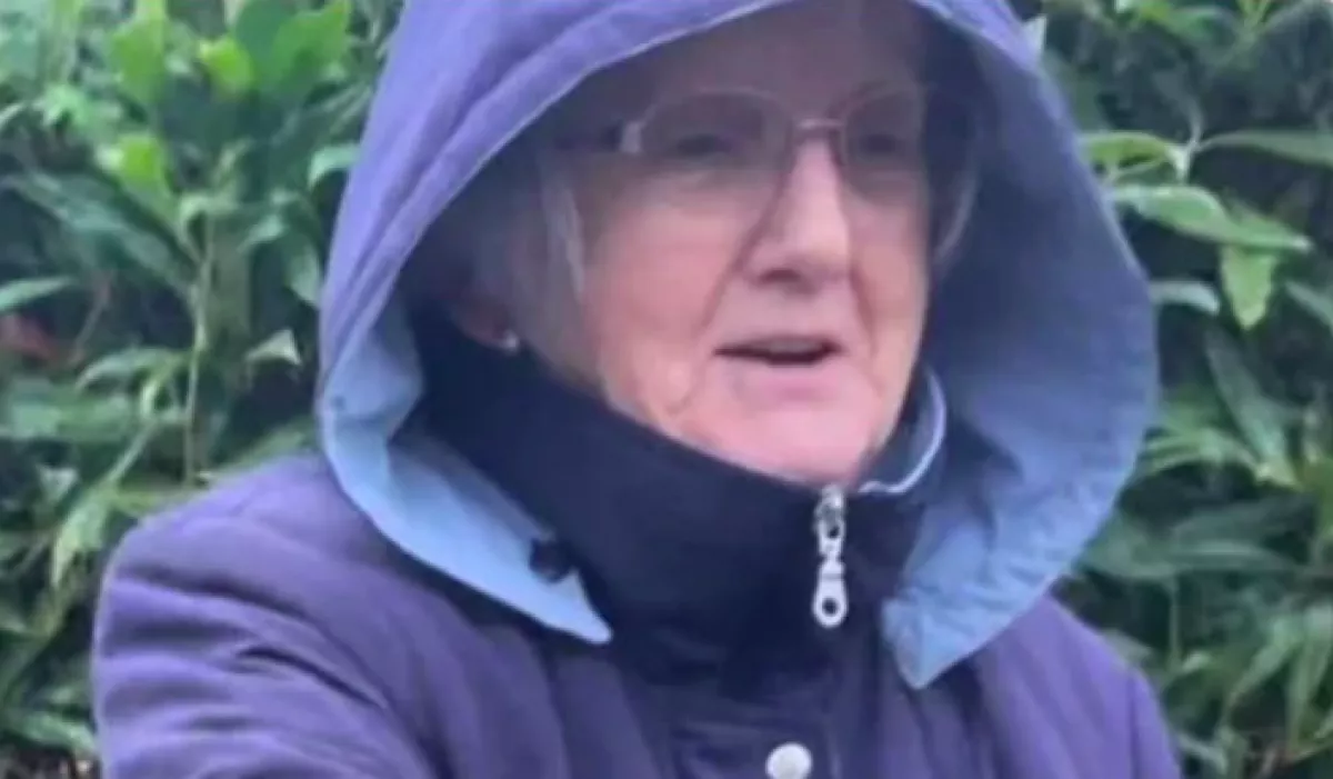 Minden nap integetett az iskolás lány az idegen nagyinak: amit a hölgy ezután tett, attól eleredtek a lány könnyei - Videó