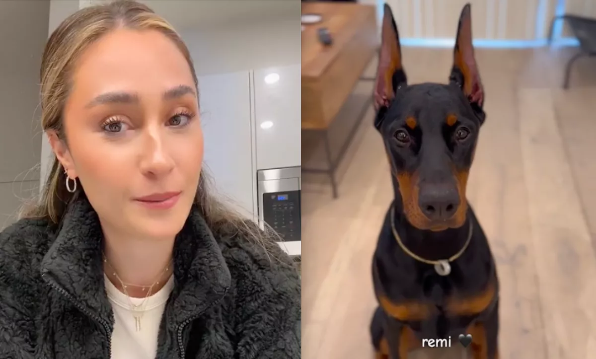 70 millió forintot ajánlott egy idegen a nő kutyájáért: egy percig sem habozott - Videó