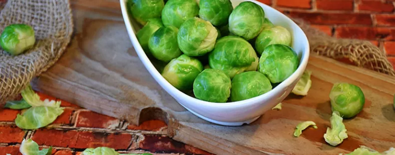 Kelbimbó, a legkisebb káposztaféle