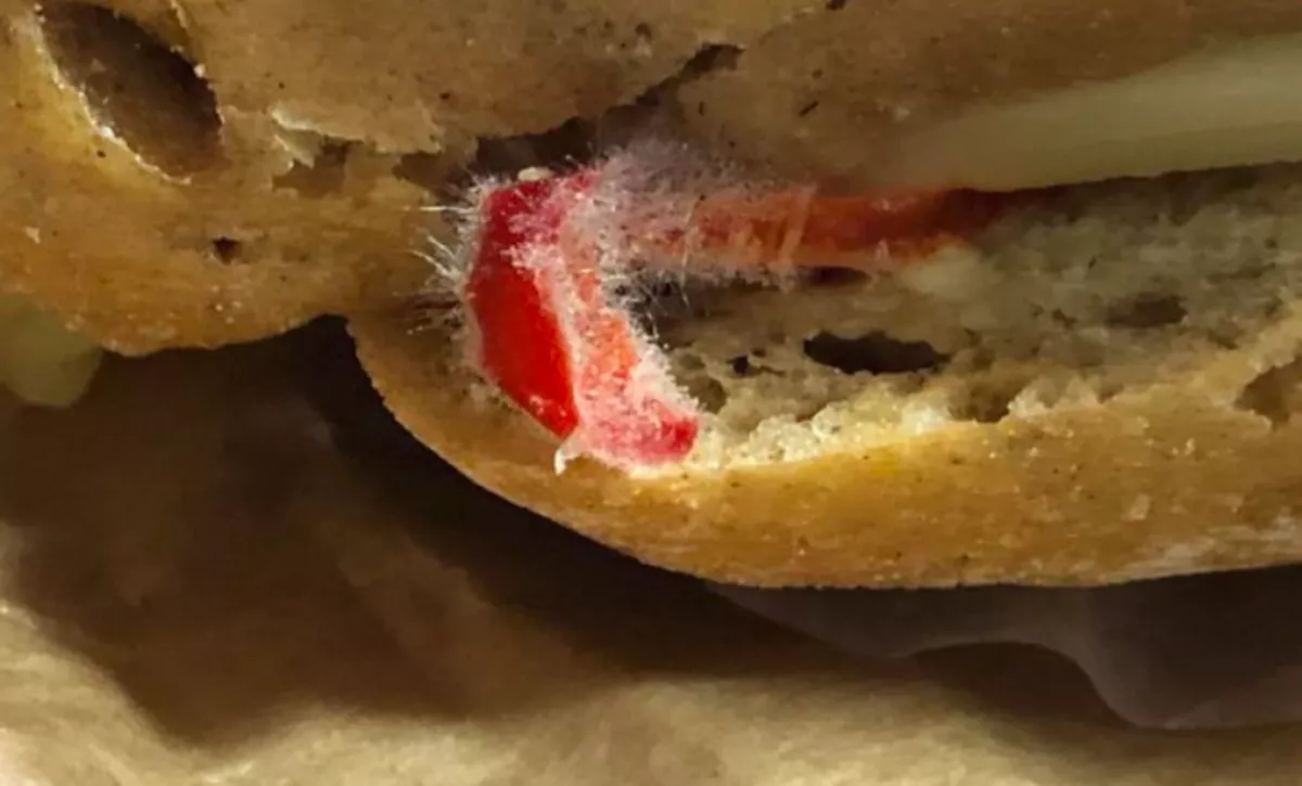 Gusztustalan: penészes szendvicset kaptak a szilveszterkor szolgálatban lévő rendőrök - Fotó