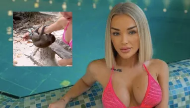 Az életéért imádkozik - Majmok harapták meg a szexi valóságshow sztárt - Videó