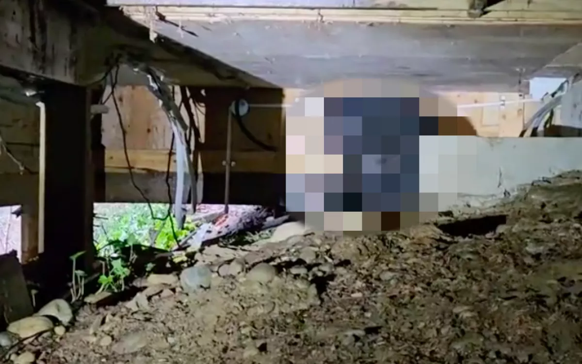 Folyamatosan ugatott a család kutyája: amikor benéztek a házuk alá, sokkot kaptak - Videó