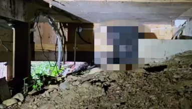 Folyamatosan ugatott a család kutyája: amikor benéztek a házuk alá, sokkot kaptak - Videó