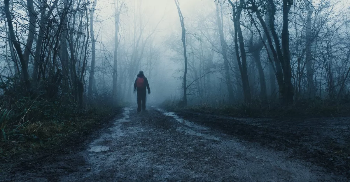 "Túl nagy embernek" - Földönkívülieket vett videóra a kiránduló?