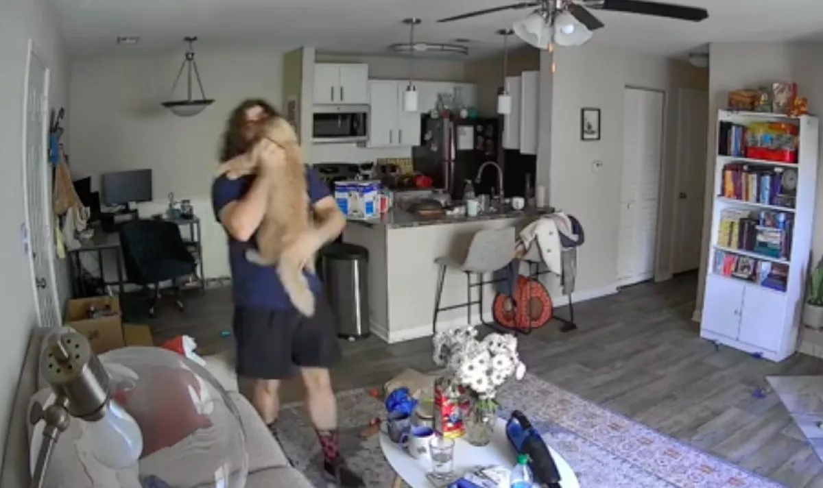 Amikor meglátta a nő a kamerán, mit tesz a barátja a macskájával, életreszóló döntést hozott - Videó