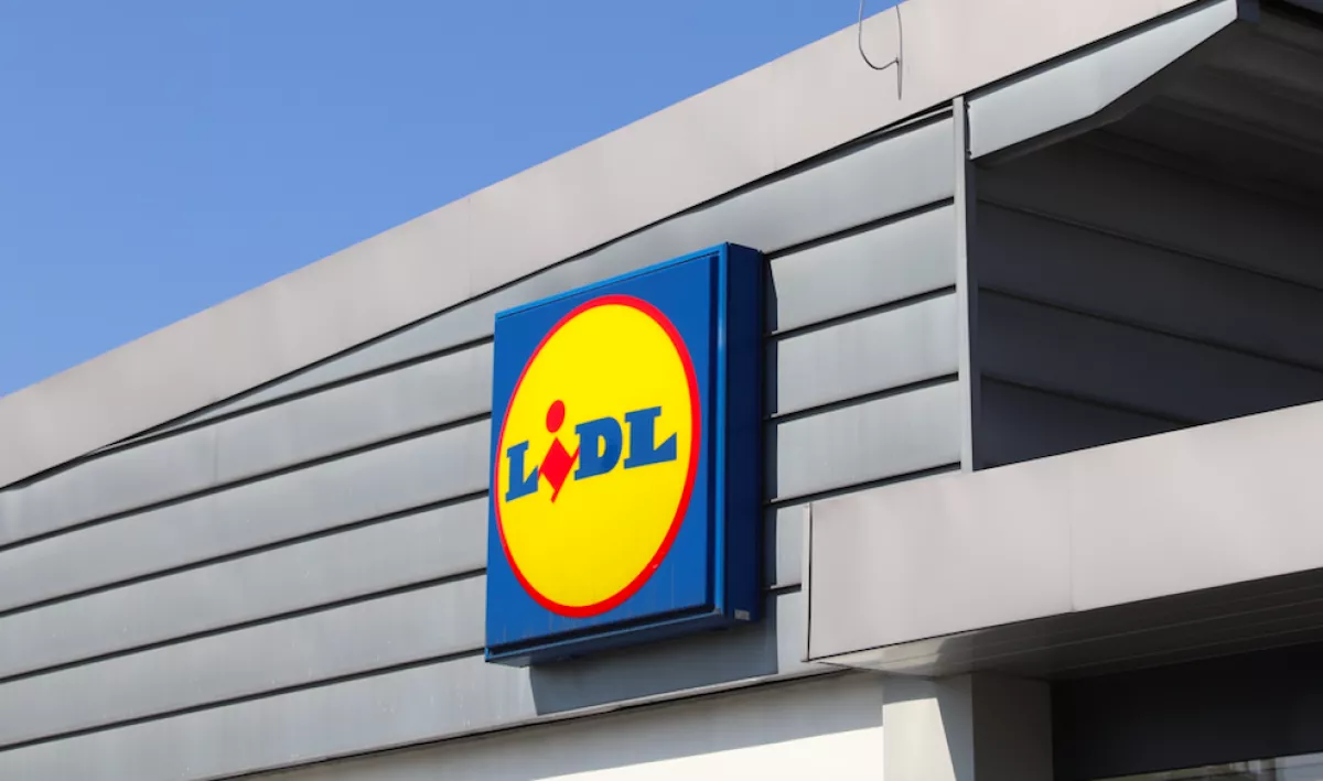 Pókriadó egy Lidl-üzletben: tűzoltók és rendőrség a helyszínen - Fotók