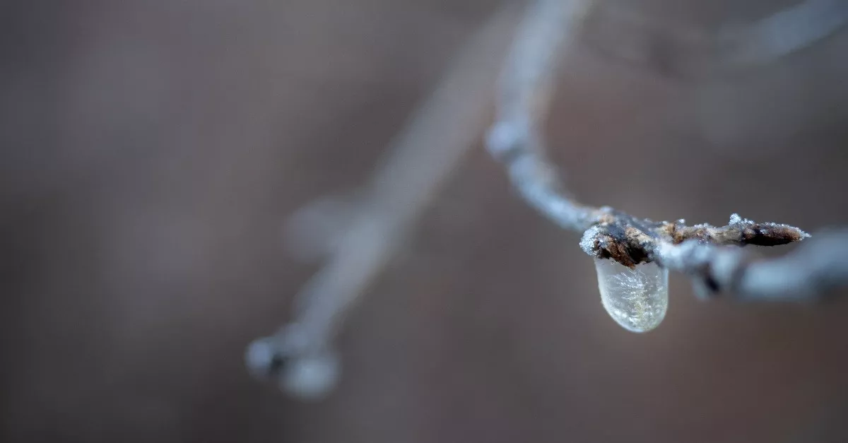 70 km/h-s szél, ónos eső, köd és havazás: 11 vármegyére frissítették a riasztást