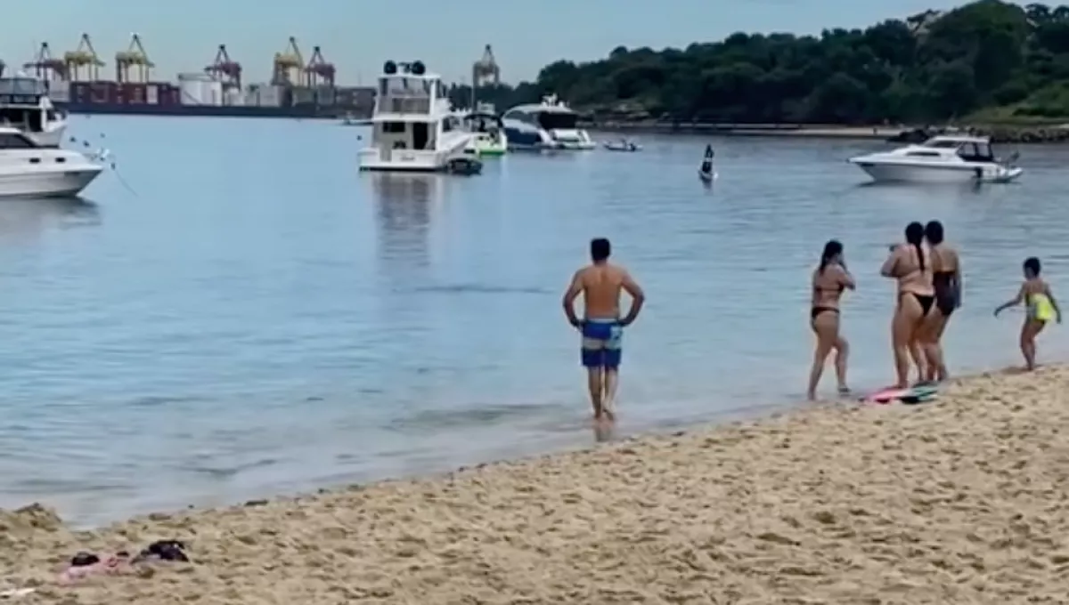 Amikor meglátták az emberek, mit forgat a nő a tengerben, mind futásnak eredtek - Videó