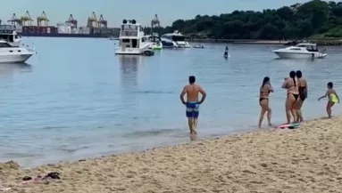 Amikor meglátták az emberek, mit forgat a nő a tengerben, mind futásnak eredtek - Videó