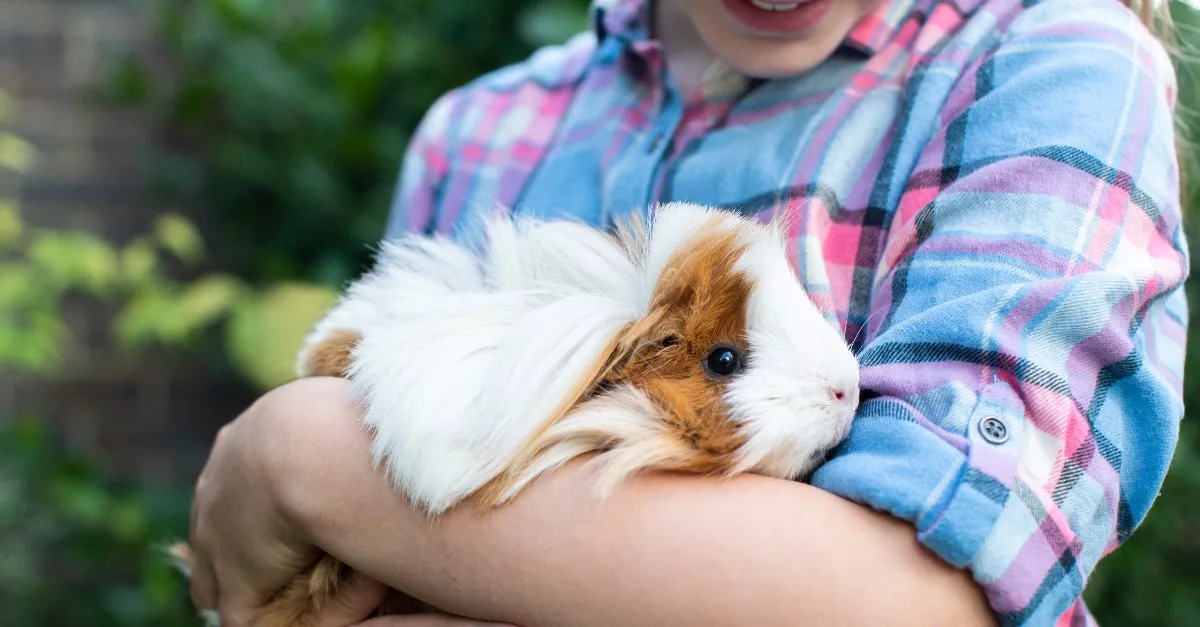 Egy szörny támadt rá a kislány házi kedvencére: egy percig sem habozott - Videó