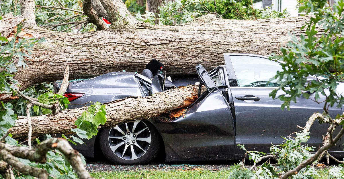 90 km/h-s szél, akár 18 fok: riasztást adtak ki az ország háromnegyedére