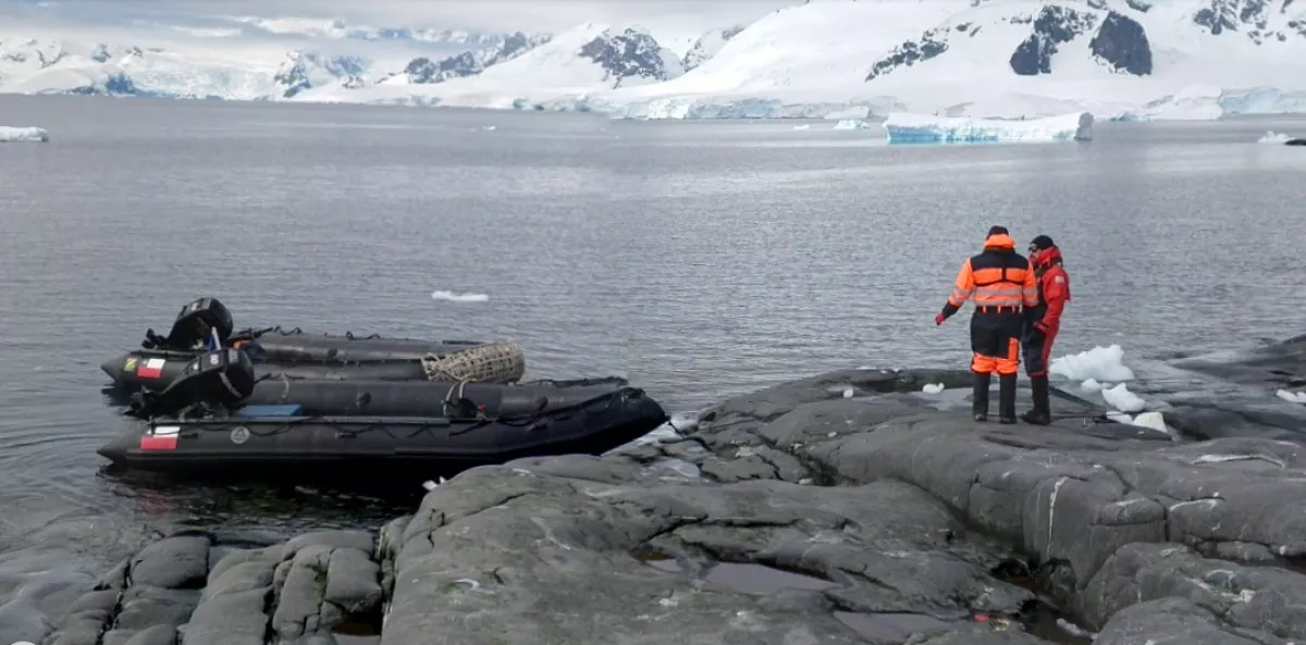 Törpe, manó, vagy tündér? Videón a furcsa lény a Déli-sarkon