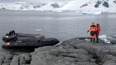 Törpe, manó, vagy tündér? Videón a furcsa lény a Déli-sarkon