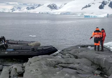 Törpe, manó, vagy tündér? Videón a furcsa lény a Déli-sarkon