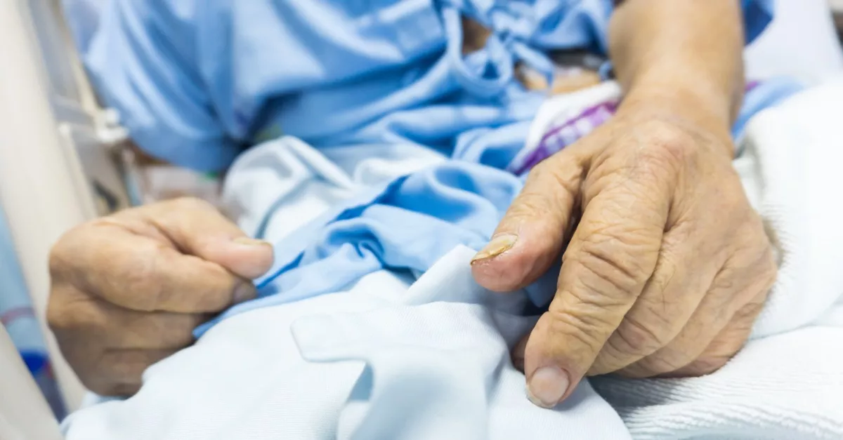 Háromszor harapta meg a piton a 80 éves nagyit: az oka milliókat hat meg - Fotó