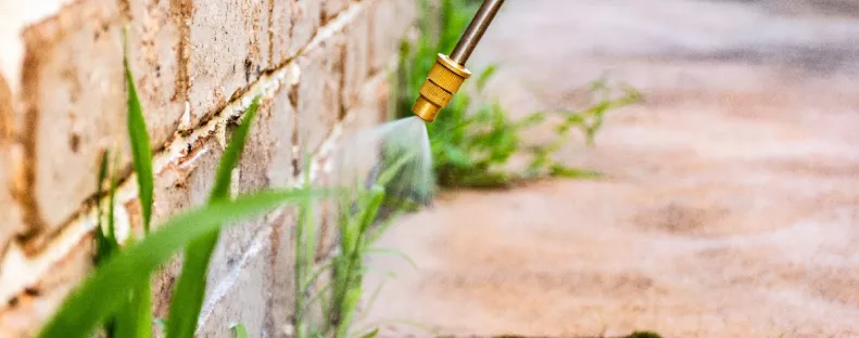 500 forint: soha nem lesz gazos és gyomos a kerted, ha ezt a filléres szert veted be