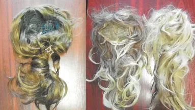 Szoknyában és parókában ment lopni a 23 éves Jancsi - Képeket közölt az ügyészség 