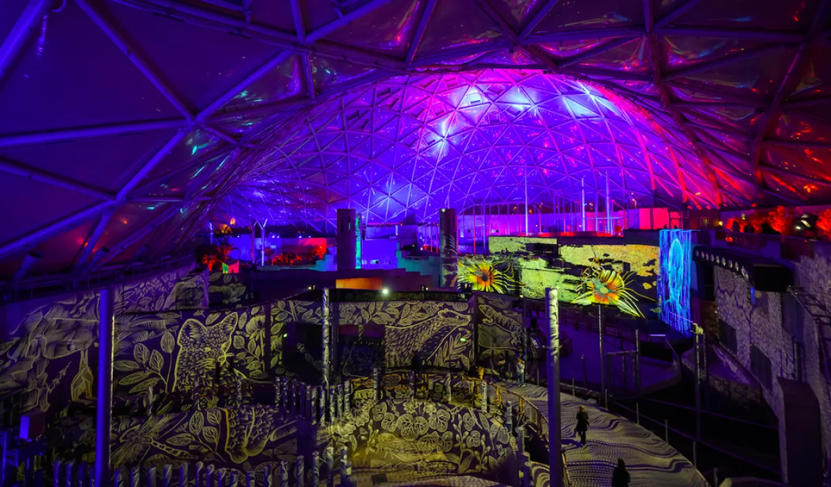 Bréking! Ez a férfi lopta el a fénydóm lézer padlóját - Fotó