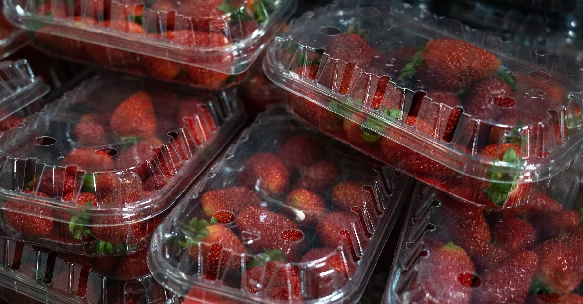 Ajándékba kapott epertől halt meg egy 8 éves kisfiú - Nyomoz a rendőrség