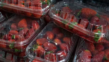 Ajándékba kapott epertől halt meg egy 8 éves kisfiú - Nyomoz a rendőrség