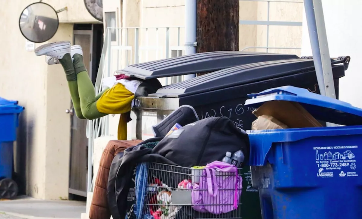 Nyakig a kukában guberál a volt szupermodell - Hajléktalanként pasizott be - Fotók