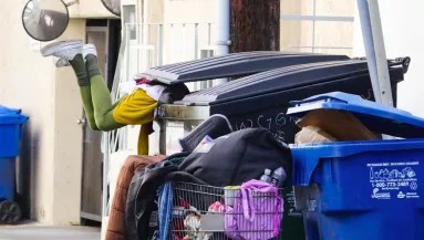 Nyakig a kukában guberál a volt szupermodell - Hajléktalanként pasizott be - Fotók