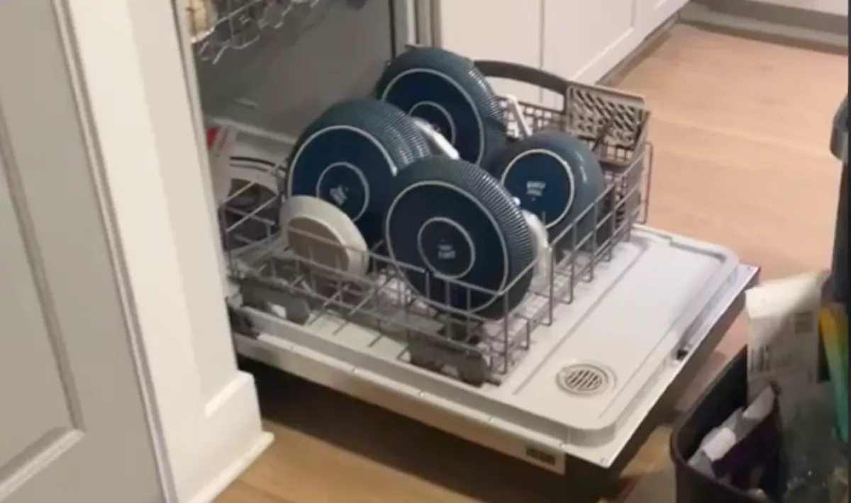 Zajt hallott a nő a konyhában: amit a mosogatógépben talált, nagy megdöbbenést vált ki - Videó