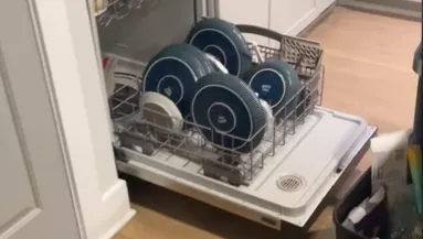 Zajt hallott a nő a konyhában: amit a mosogatógépben talált, nagy megdöbbenést vált ki - Videó