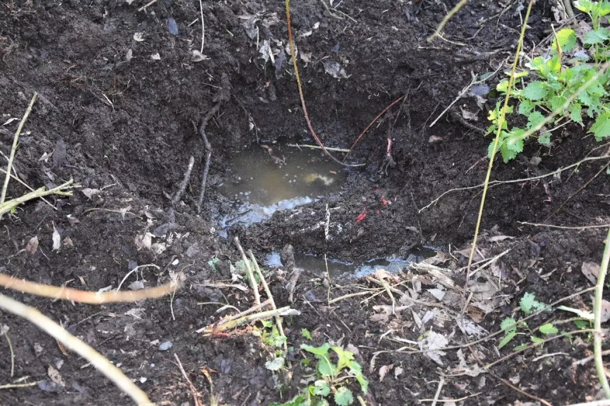 A Zala réten szaglászott a tetemkutya: bestiális gyilkosságra derített fényt - Fotók